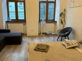 Apartment VIP Virmenska Street