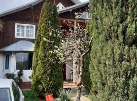 Casa Rustica、プロイェシュティのホテル