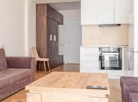 2-room apartment New Gudauri F1