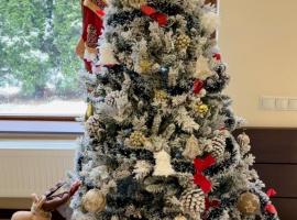 AMK House - Busteni, hotel v destinaci Buşteni