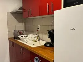 Charmant studio en centre-ville de Mulhouse - Equipé