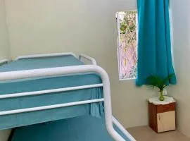 Oasis 1