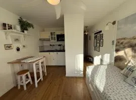 Appartement avec terrasse au centre de GRUISSAN