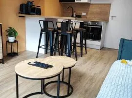 Studio 15, proche rue piétonne et plage