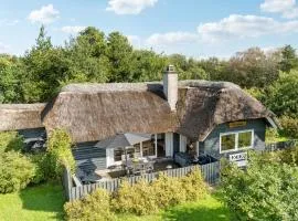 Amazing Home In Hemmet With Wifi