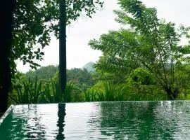 Evergreen Hideout by Tequila Holidays