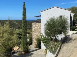 Superbe villa vue mer avec piscine