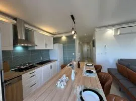 Jolie Appartement T3 Brive