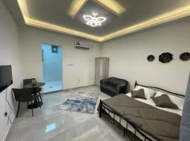 Novi Homes 2