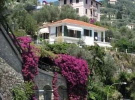 B&B The Dream