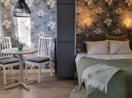 Mysig 1a med Minispa 20 min från Kinnekulle - minst 2 nätter