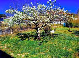 Appartement La Ponça, готель у місті Онтіньєнт