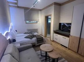 Privatni Studio Apartman RIO 029 u sklopu HOTEL VUČKO JAHORINA