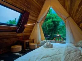 Mimosa Backpackers Hostel