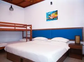 Blue Coral Vashafaru Maldives