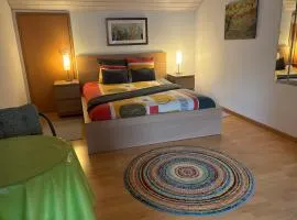 Queen Guest Room