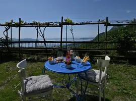 Al Pos - Theater Home