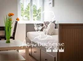 Rollin appartement 3 personnes avec Netflix au calme !