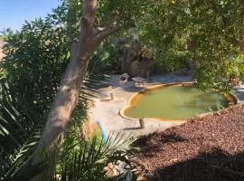 ملاذ Haven Resort Siwa-MALATH