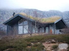 Flott hytte på Smølåsen Tjørhom