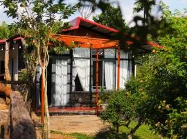 Nhà của bông và gạo