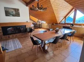 Duplex spacieux, 20 pers, 10 Multi Pass offerts, proche pistes, garage - FR-1-693-95