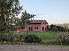 PODERE GRETANO casetta in maremma