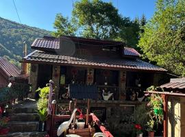 Vila Movila Revelion 2025, hotel v mestu Azuga