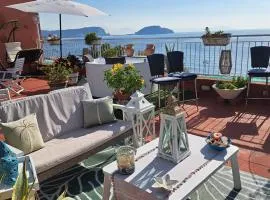 Terrazza Miracapri