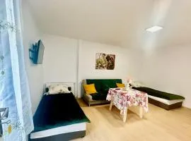 Apartament nr 1 lub 2 przy Sali Kominkowej
