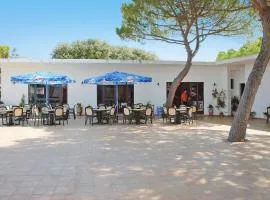 Bungalow in a resort in Lido del Sole with terrace
