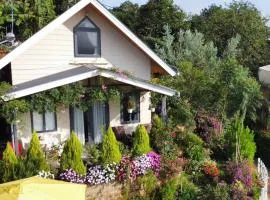 Nhà Hoa Nắng Homestay Cầu Đất Đà Lạt