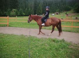 Casa din Curtea cu cai, hotel em Borsec