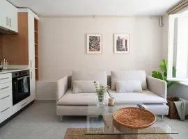 2BR Designed Flat In The Center of Buyukada