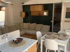 Mobil home climatisé 6,8 Pers SIBLU BONNE ANSE PLAGE LA PAMYRE LES MATHES