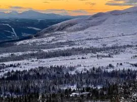 Buustamons Fjällgård