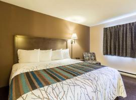 Rodeway Inn, hotel v destinaci Red Wing