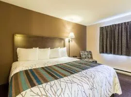 Rodeway Inn Red Wing