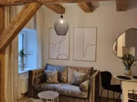 Apartament Centrum 4