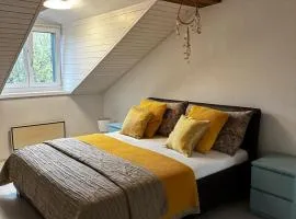 Casa Styner