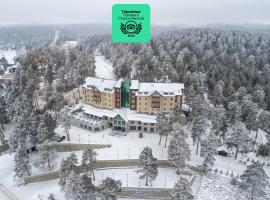 SARPİNO MOUNTAİN HOTEL, five-star hotel in Sarıkamıs