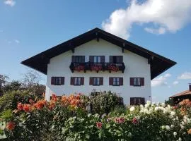 Munzingerhof