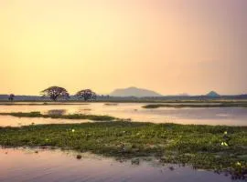 Water Bird's Resort & Yala Safari