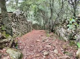 Els Sifons