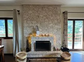 the mountain house in parnassus