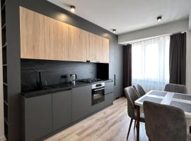 APARTAMENTS CIOCANA & TAXI AiROPORT, hotel v destinaci Chişinău