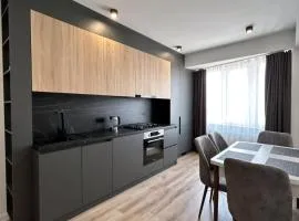 APARTAMENTS CIOCANA & TAXI AiROPORT