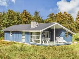 Holiday Home Lyngvejen Ringkøbing Xii