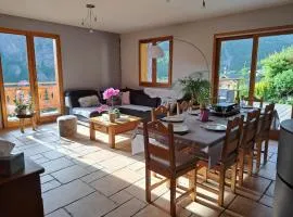 Chalet 4* 8 pers, Animaux admis, Wifi, Parking à Valloire - FR-1-263-542