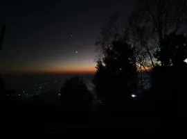 Forest IMAX
